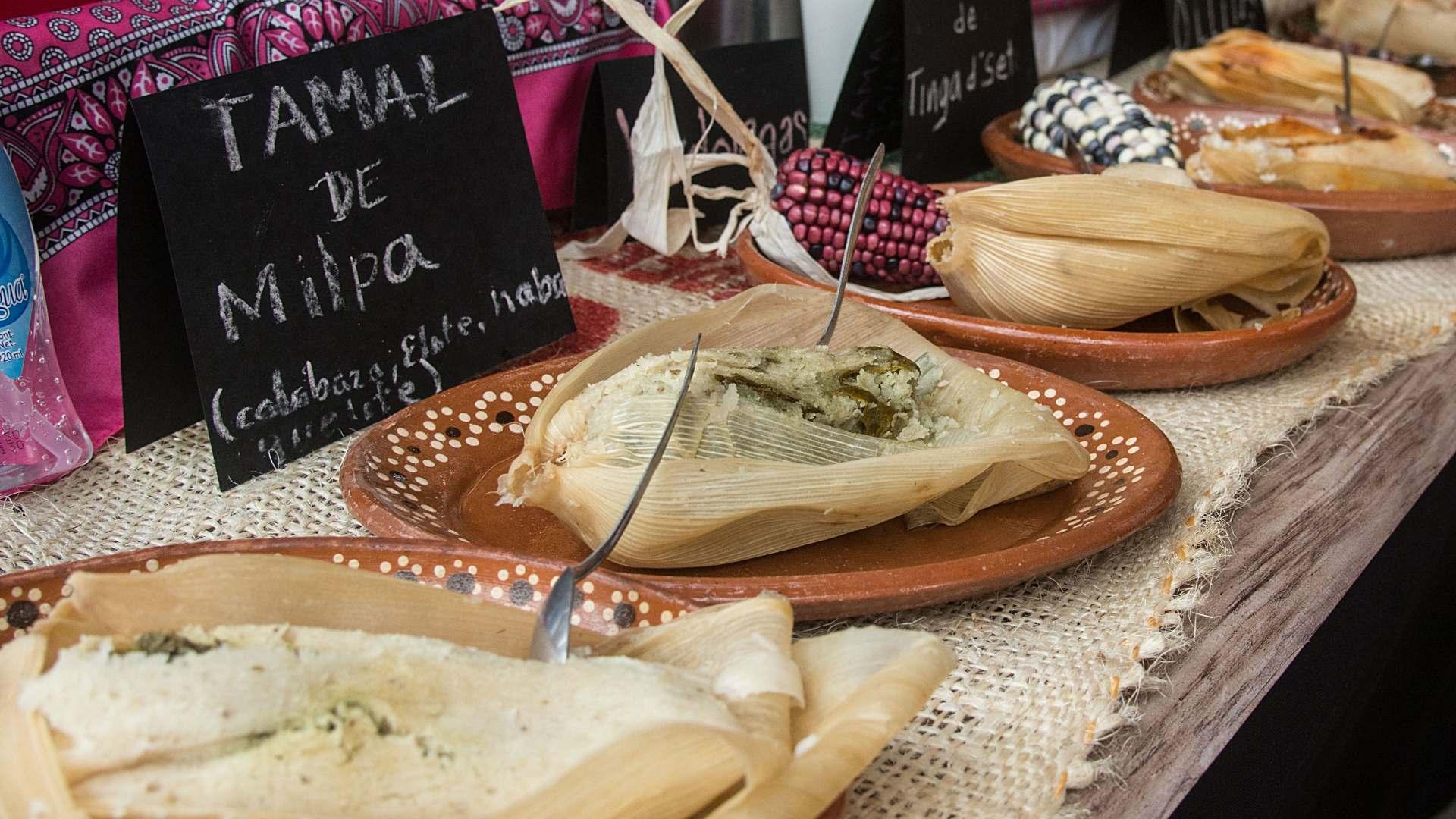 Traditional Mexican tamales assortment Traditional Mexican tamales assortment